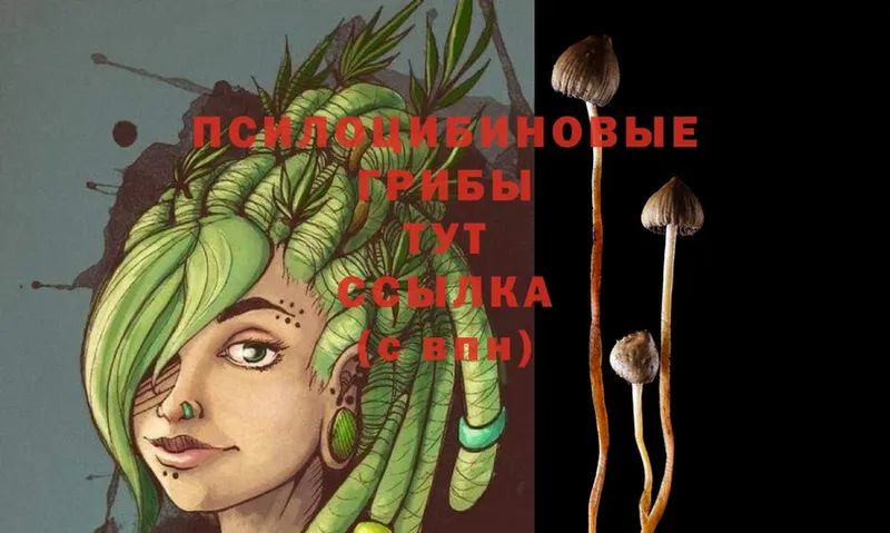 Галлюциногенные грибы MAGIC MUSHROOMS  Кушва 